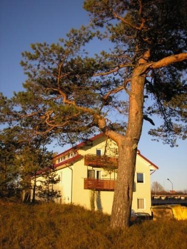 Guest House Osia Šventoji Exterior foto